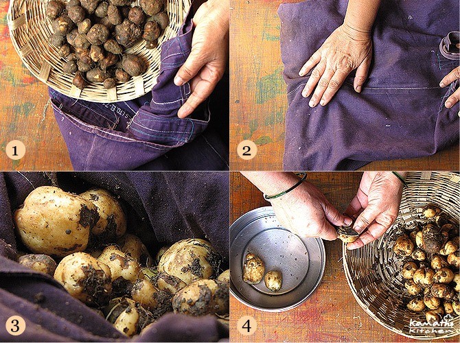 chinese potatoes