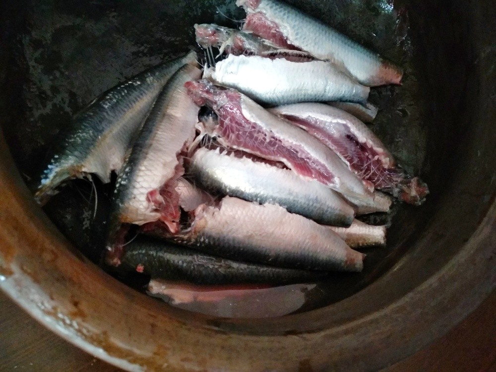 Sardines cleaned and slitted